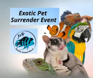 Exotic Pet Surrender Event
